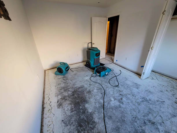 Best Sewage cleanup and water damage restoration  in Kankakee, IL