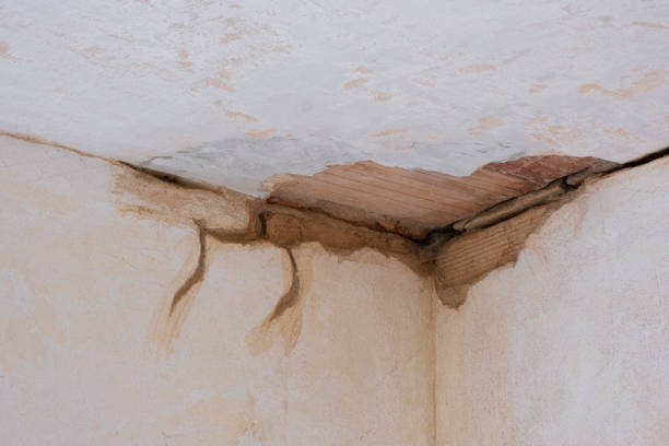 Best Flood damage cleanup  in Kankakee, IL