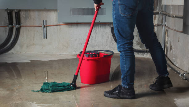 Best 24/7 water damage repair  in Kankakee, IL