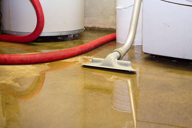Best Local water damage restoration  in Kankakee, IL