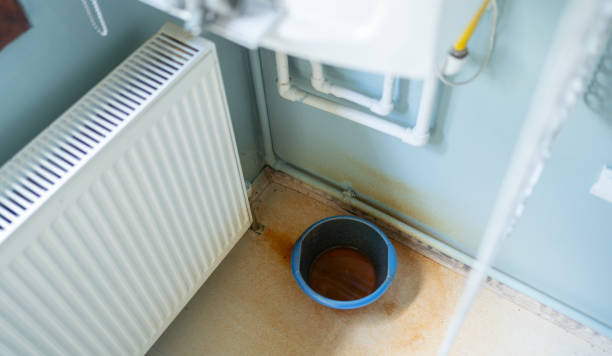 Best Basement water damage restoration  in Kankakee, IL